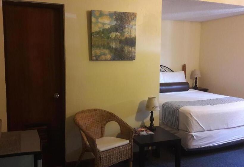 اتاق استاندارد با تخت دوبل, Villa Del Sol