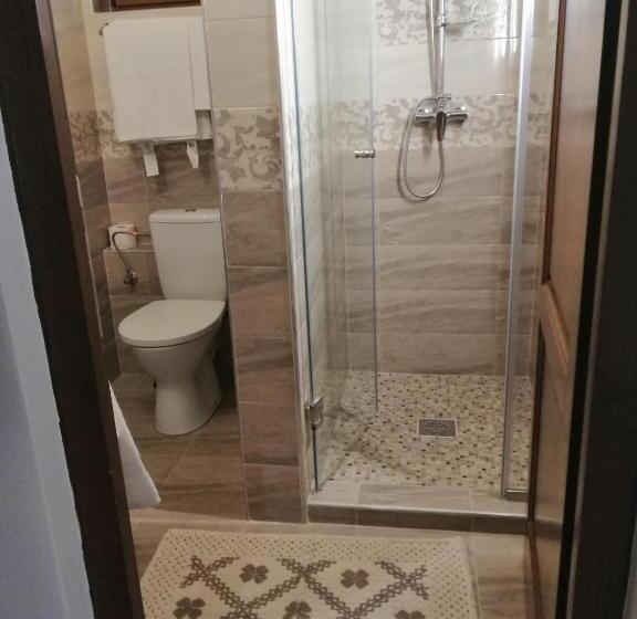 غرفة قياسية, Pensiunea Plai Strabun