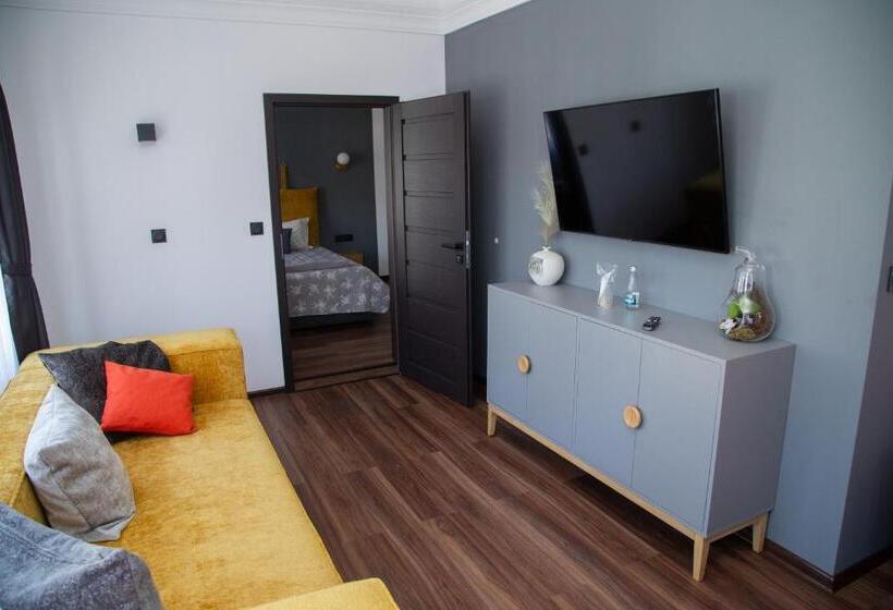 شقة غرفة واحدة, соколови къщи