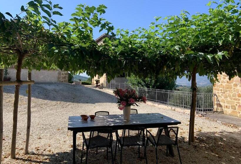 דירת חדר, Borgo Crispiero