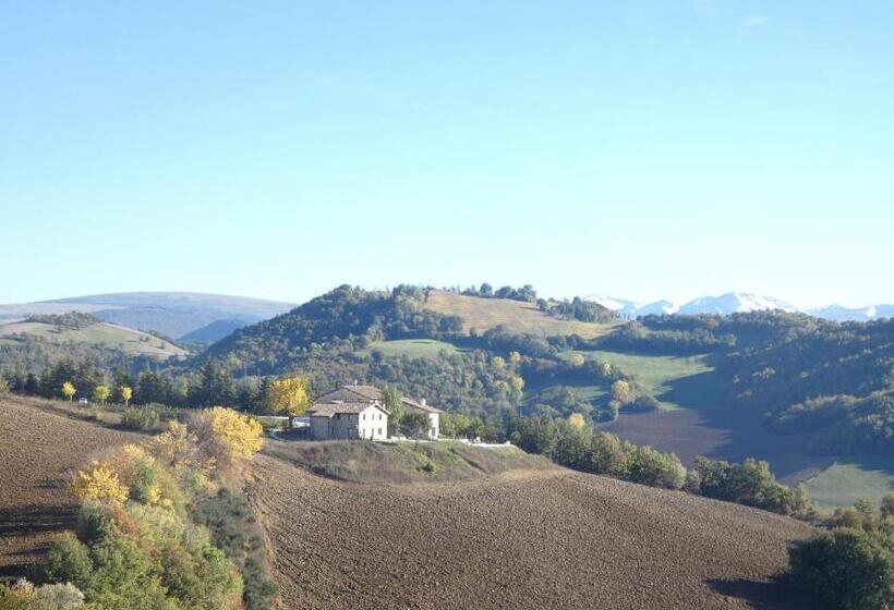 شقة غرفة واحدة, Borgo Crispiero