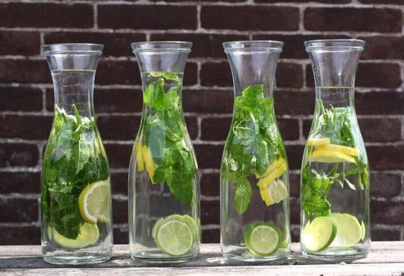 شقة ديلوكس غرفة واحدة, Borgo Crispiero