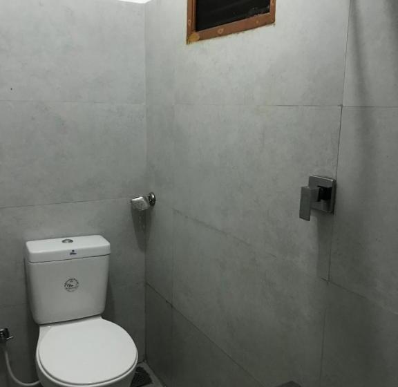 エコノミールーム, Alina Budget