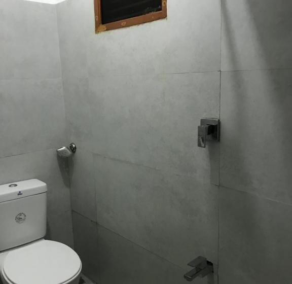 エコノミールーム, Alina Budget