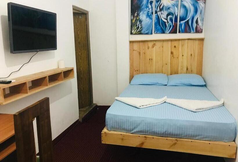 スタンダードルーム, Alina Budget