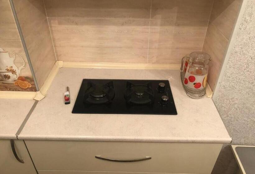 اتاق اکونومی, Guesthouse Batu