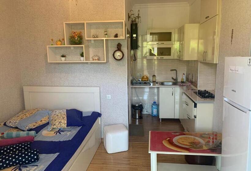 اتاق اکونومی, Guesthouse Batu