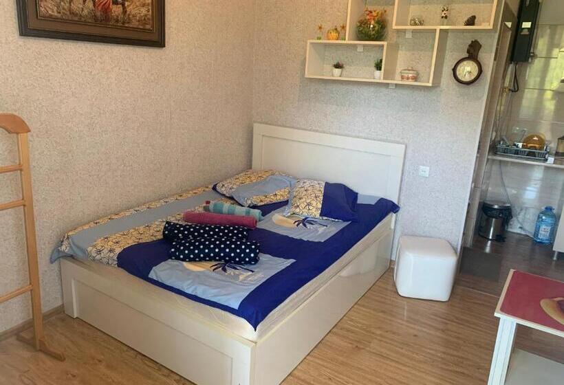 اتاق اکونومی, Guesthouse Batu