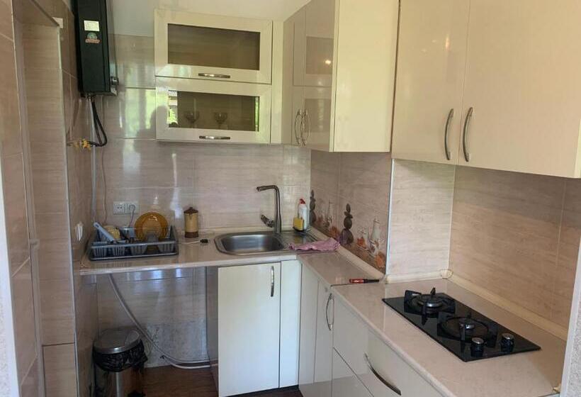 اتاق اکونومی, Guesthouse Batu