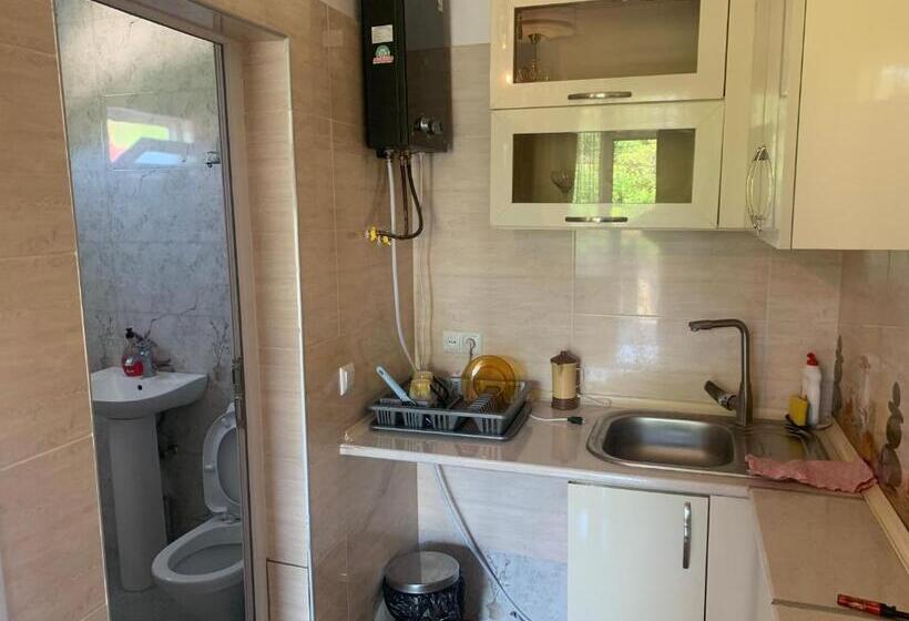 اتاق اکونومی, Guesthouse Batu