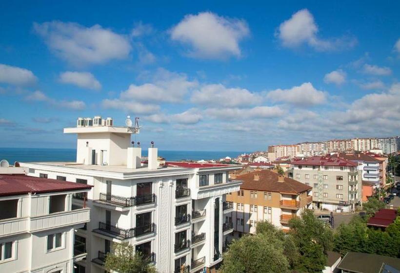 اتاق استاندارد با تخت بزرگ, Trabzon Asel Suite Otel