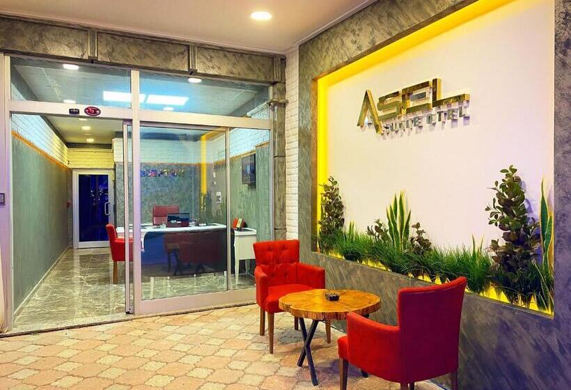 اتاق استاندارد, Trabzon Asel Suite Otel