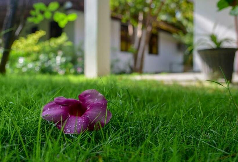 带花园景观和一个卧室的别墅, 108 Palms Beach Resort