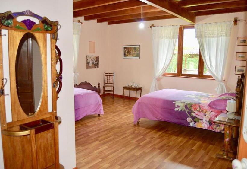 اتاق استاندارد, Los Jardines De Teresa