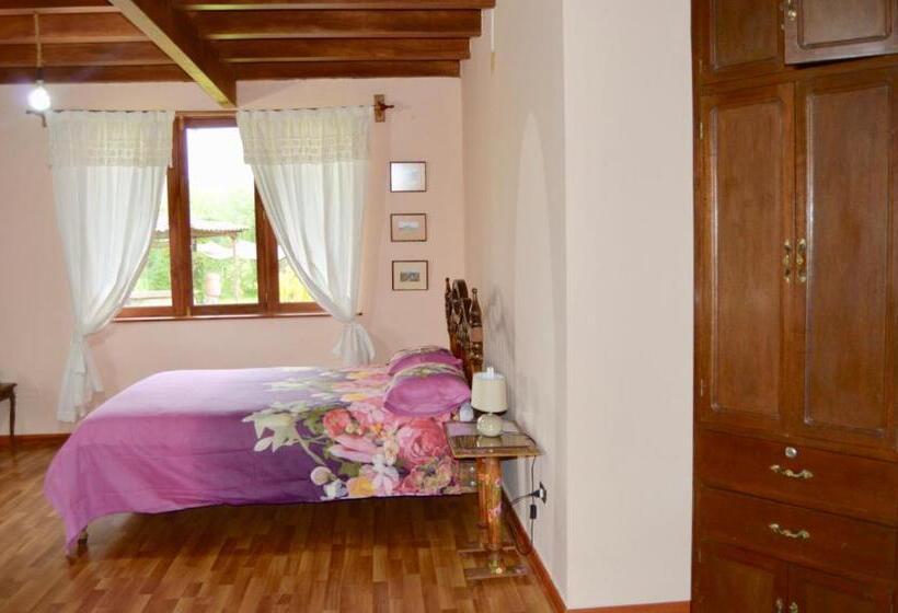 اتاق استاندارد, Los Jardines De Teresa