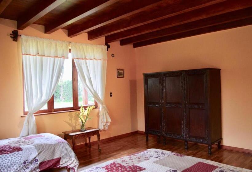 اتاق استاندارد, Los Jardines De Teresa