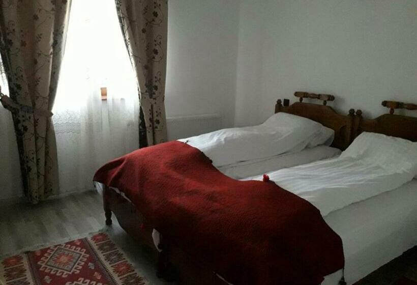 スタンダードルーム, Pensiunea Elena