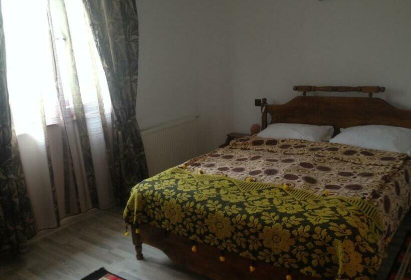 スタンダードルーム, Pensiunea Elena