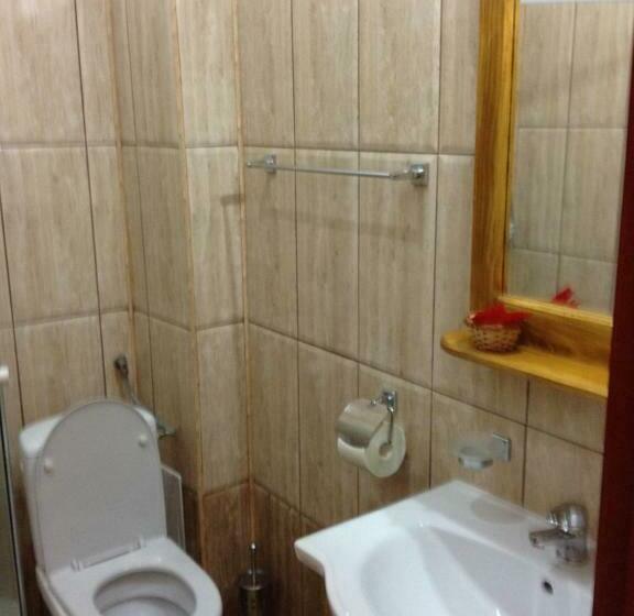 スタンダードルーム, Pensiunea Elena