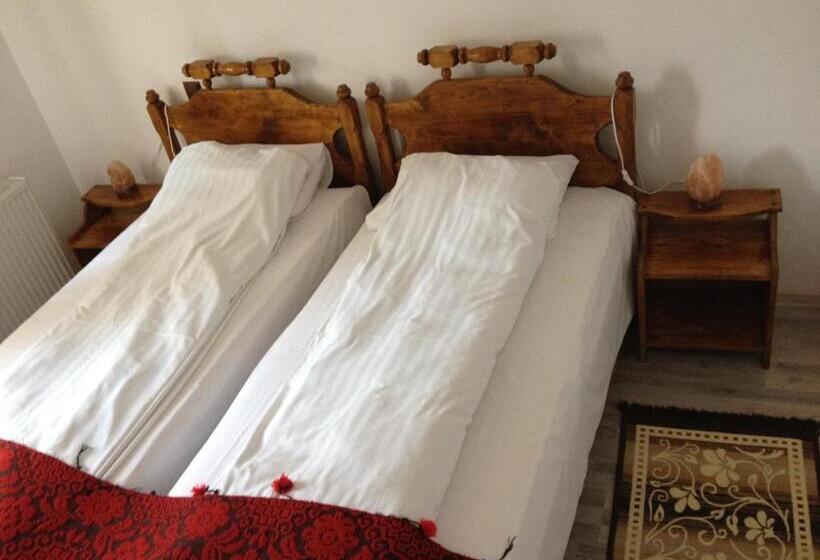 スタンダードルーム, Pensiunea Elena