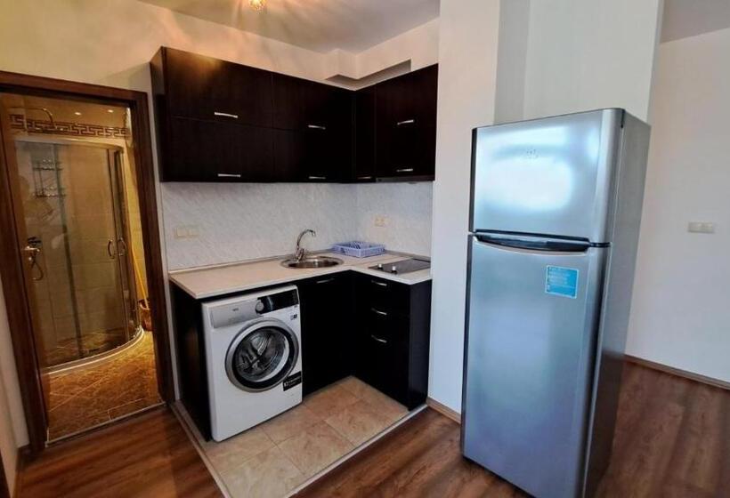 バルコニー付き1ベッドルームアパートメント, Seasons 3