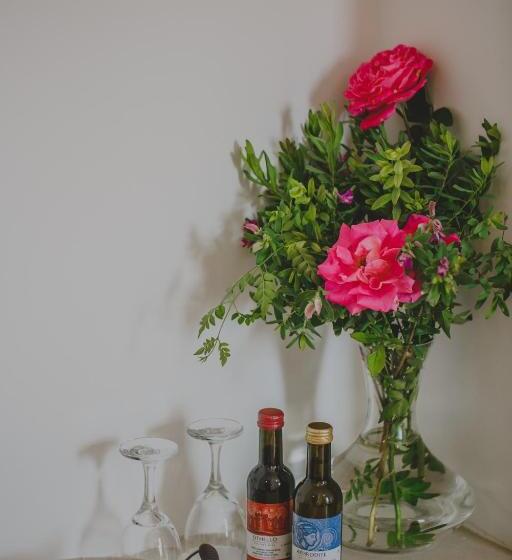 スタンダードルーム, Alkisti City