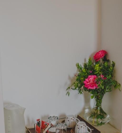 スタンダードルーム, Alkisti City