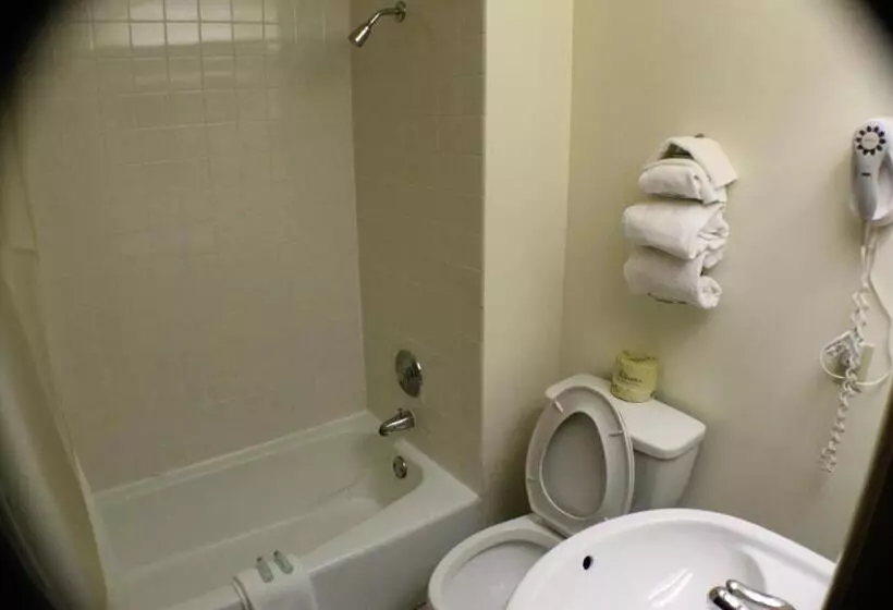 キングサイズベッドのスタンダードルーム, Americas Best Value Inn Geneva