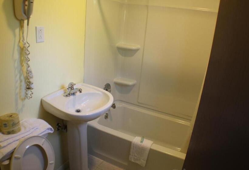 스탠다드 룸 킹사이즈 침대, Americas Best Value Inn Geneva