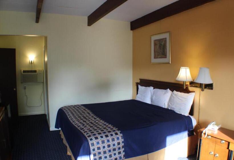 스탠다드 룸 킹사이즈 침대, Americas Best Value Inn Geneva