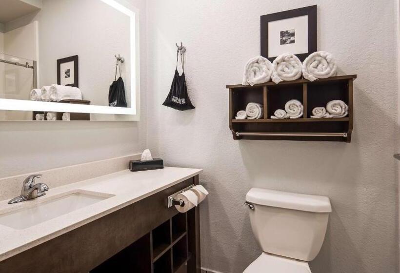 جناح سرير كينج, Best Western Atoka Inn & Suites