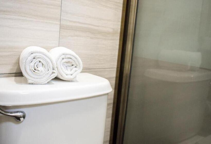 اتاق استاندارد یک نفره, Venedik