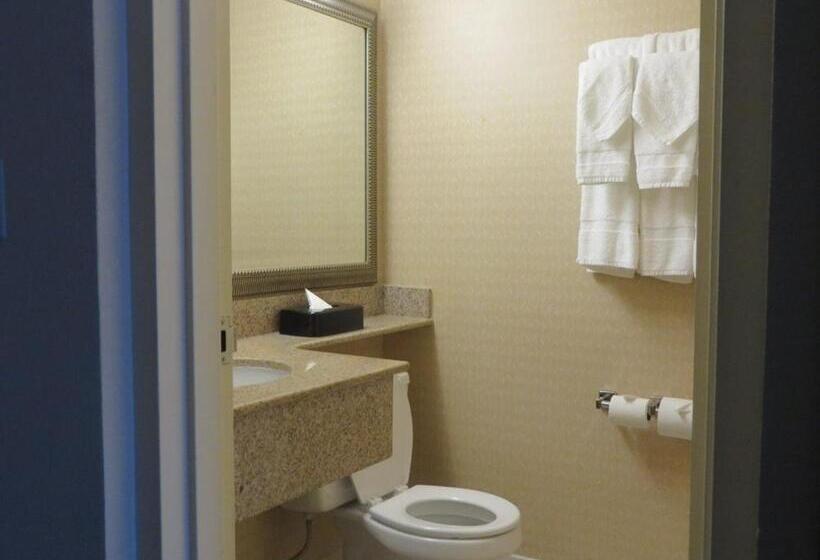 带大床的标准工作室, Country Inn & Suites By Radisson, Fredericksburg South I 95 , Va