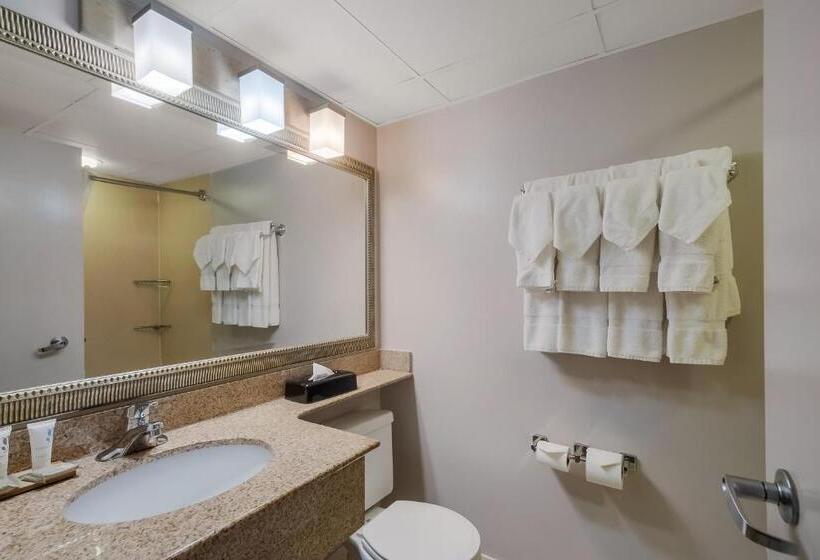 带大床的标准工作室, Country Inn & Suites By Radisson, Fredericksburg South I 95 , Va