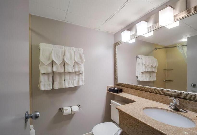 غرفة قياسية لذوى الاحتياجات الخاصة, Country Inn & Suites By Radisson, Fredericksburg South I 95 , Va