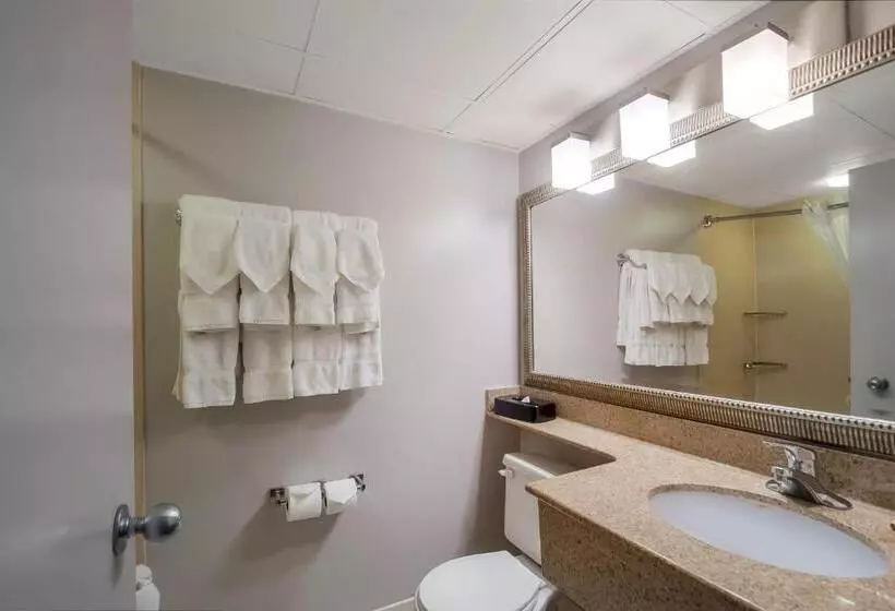 身障者適用スタンダードルーム, Country Inn & Suites By Radisson, Fredericksburg South I 95 , Va