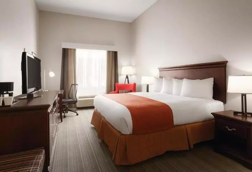 キングサイズベッドのスタンダードルーム, Country Inn & Suites By Radisson, St. Petersburg  Clearwater, Fl