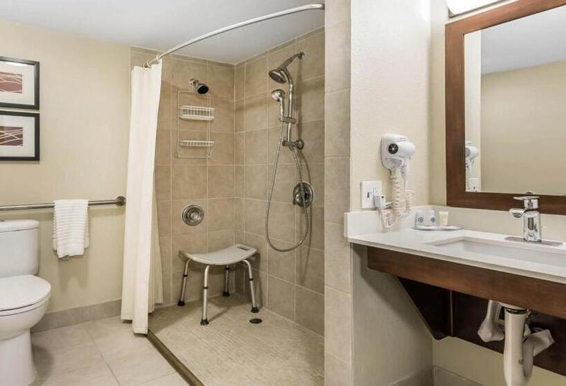 غرفة قياسية, Country Inn & Suites By Radisson, St. Petersburg  Clearwater, Fl