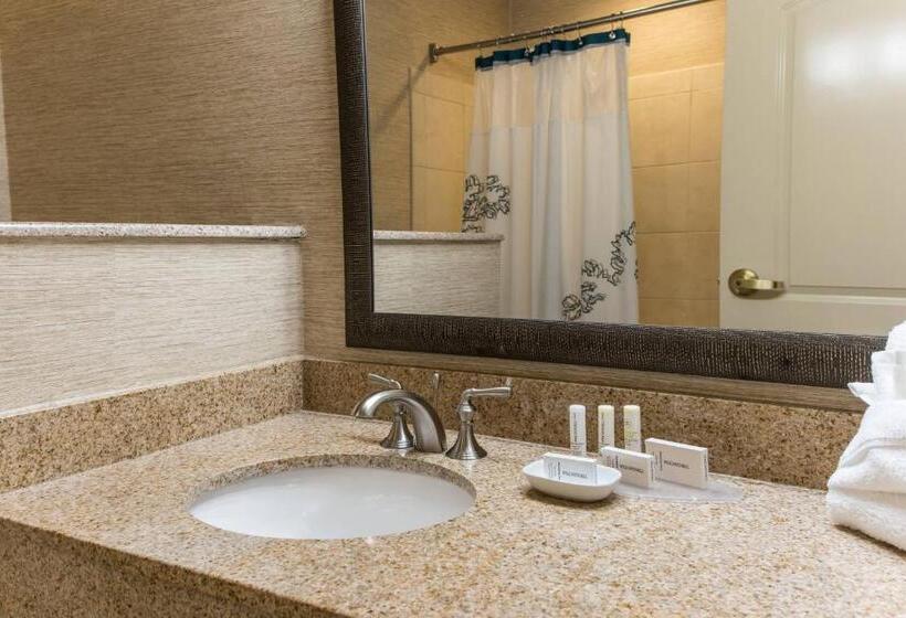 스탠다드 룸 킹사이즈 침대, Courtyard Charleston Mount Pleasant