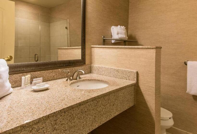 수피리어 룸, Courtyard Charleston Mount Pleasant