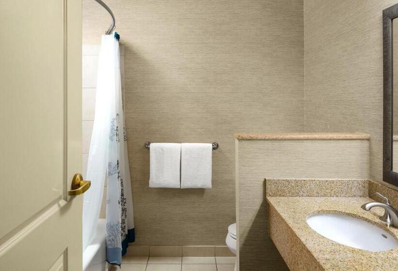 适合残疾人使用的标准间, Courtyard Charleston Mount Pleasant