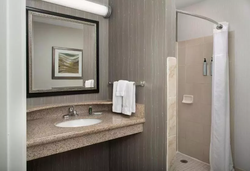 اتاق استاندارد با تخت بزرگ, Courtyard Chico
