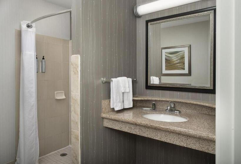 جناح سرير كينج, Courtyard Chico