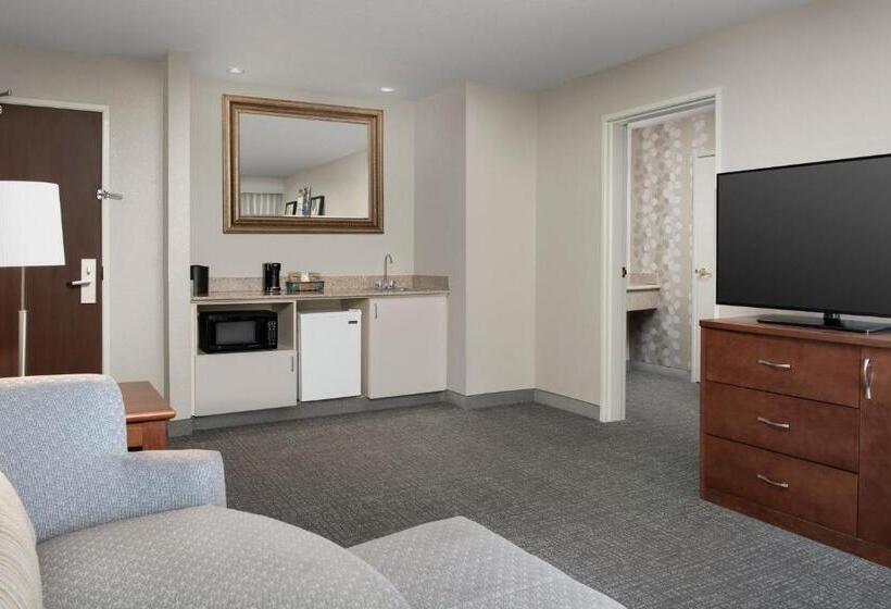 جناح سرير كينج, Courtyard Chico