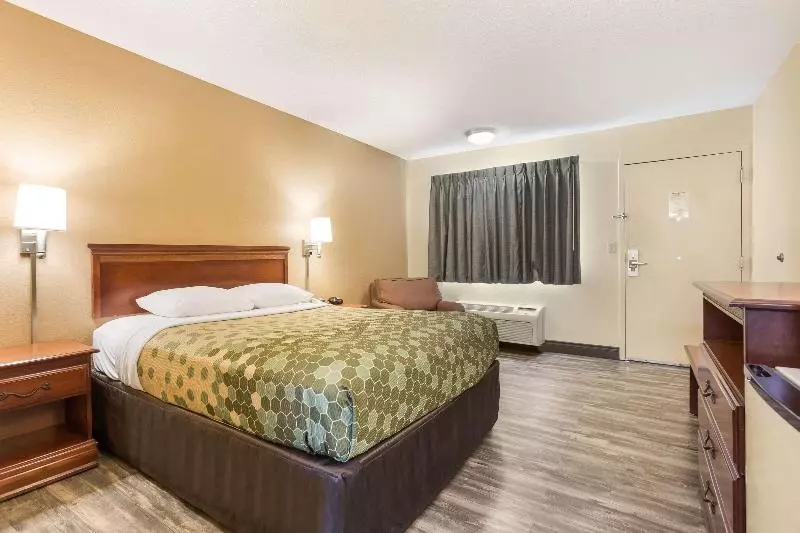 اتاق استاندارد یک نفره, Greentree Inn Shanghai Jingan Railway Station Xinzha Road Business