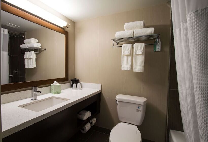 غرفة قياسية سرير مزدوج, Holiday Inn Victorville, An Ihg