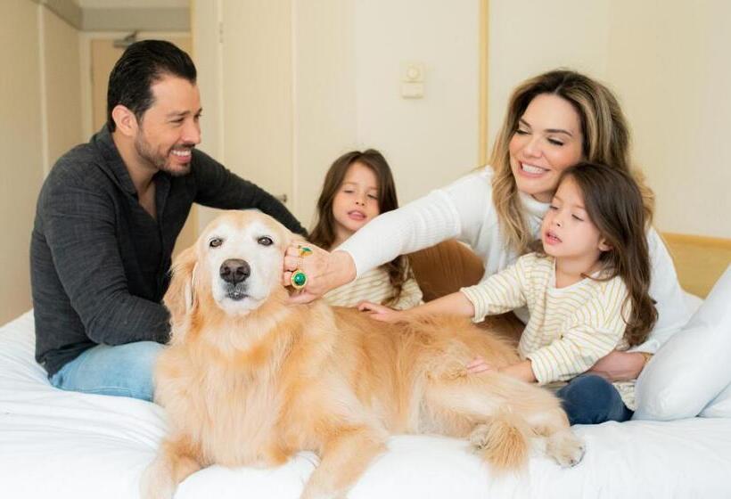 Апартаменты 1 Спальня, Ibis Taubate