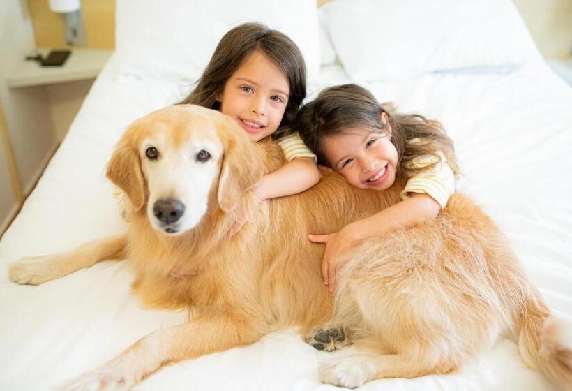 Номер Стандарт, Ibis Taubate