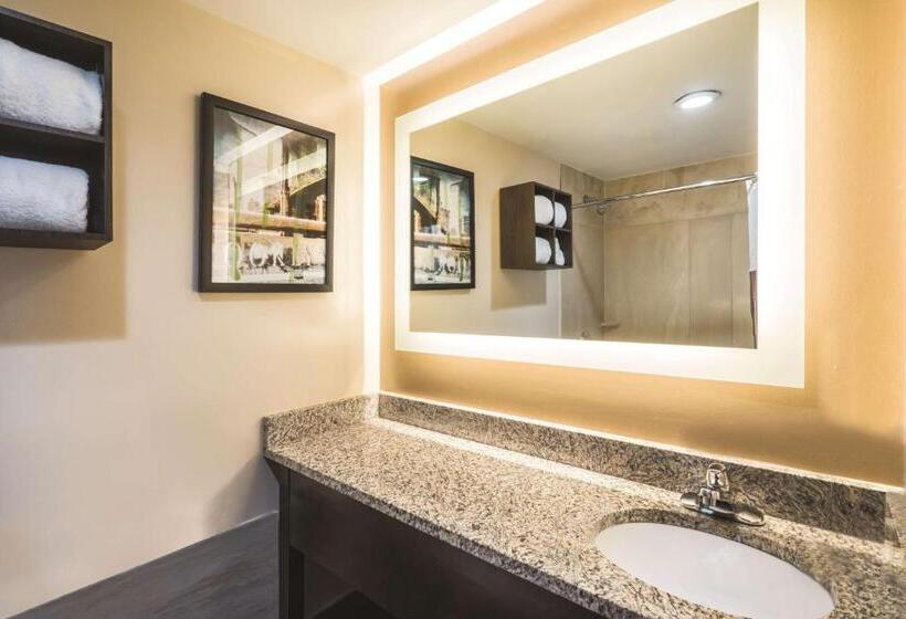 Номер Стандарт Кровать Кинг Адаптированный для Инвалидов, La Quinta By Wyndham Brooklyn Downtown