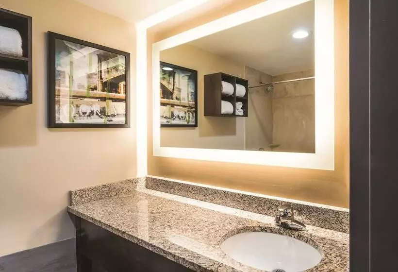２ダブルベッドのスタンダードルーム, La Quinta By Wyndham Brooklyn Downtown